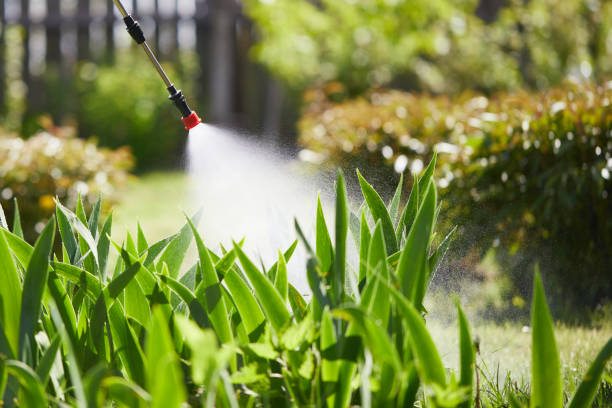 24/7 Emergency Ant Control experts in New Smyrna Beach, FL