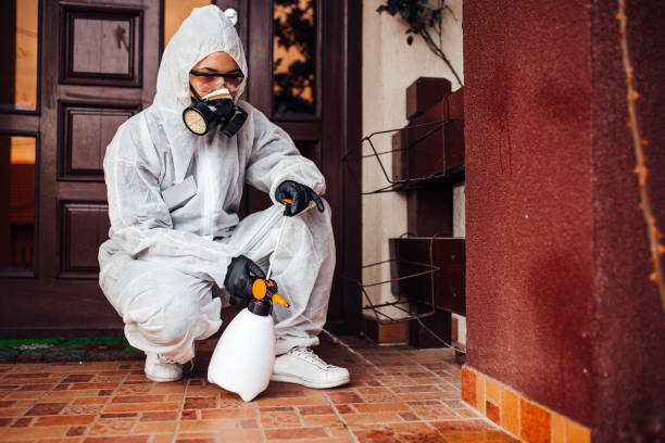 Reliable Ant Control contractor in New Smyrna Beach, FL by Nex Pest Control