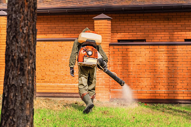 Trusted Emergency Pest Control service in New Smyrna Beach, FL - Nex Pest Control